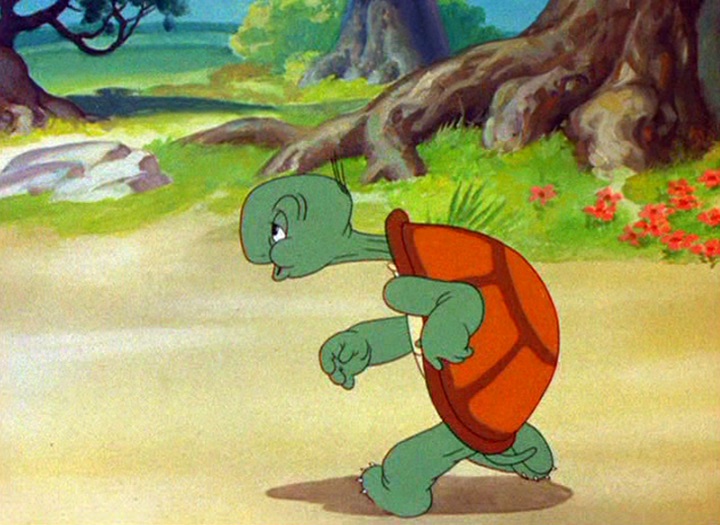 TurtleCecil NERDBOT
