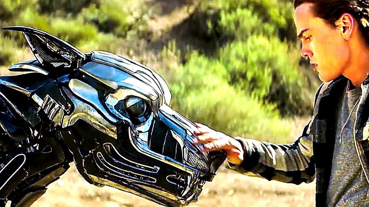 Nerdbot Movie Reviews A.X.L.