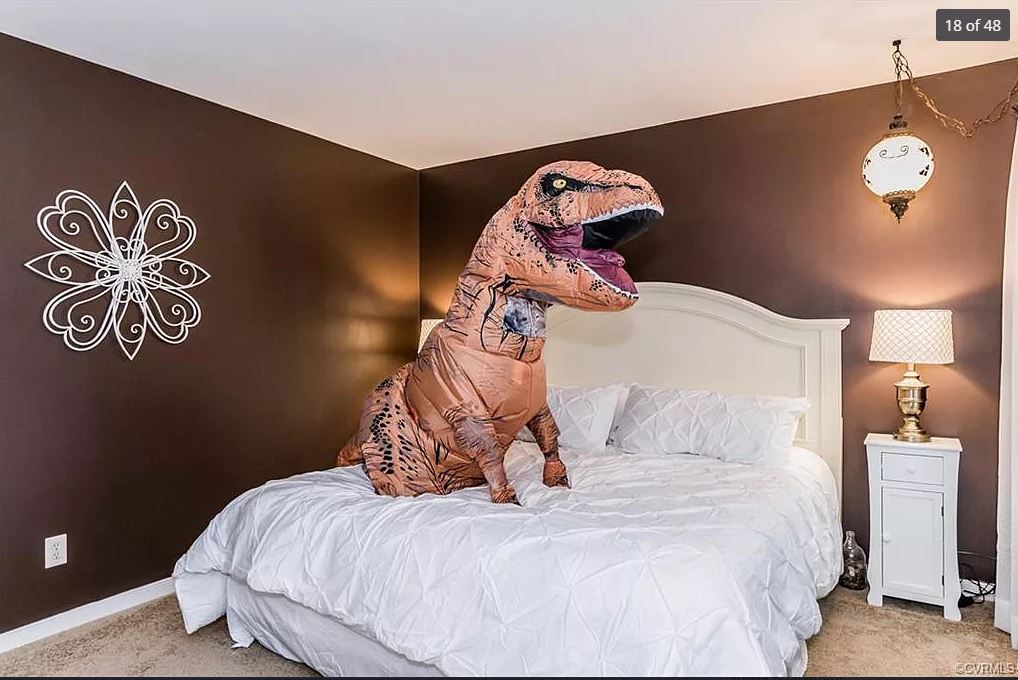 New House Listing on Zillow Features Dinosaurs