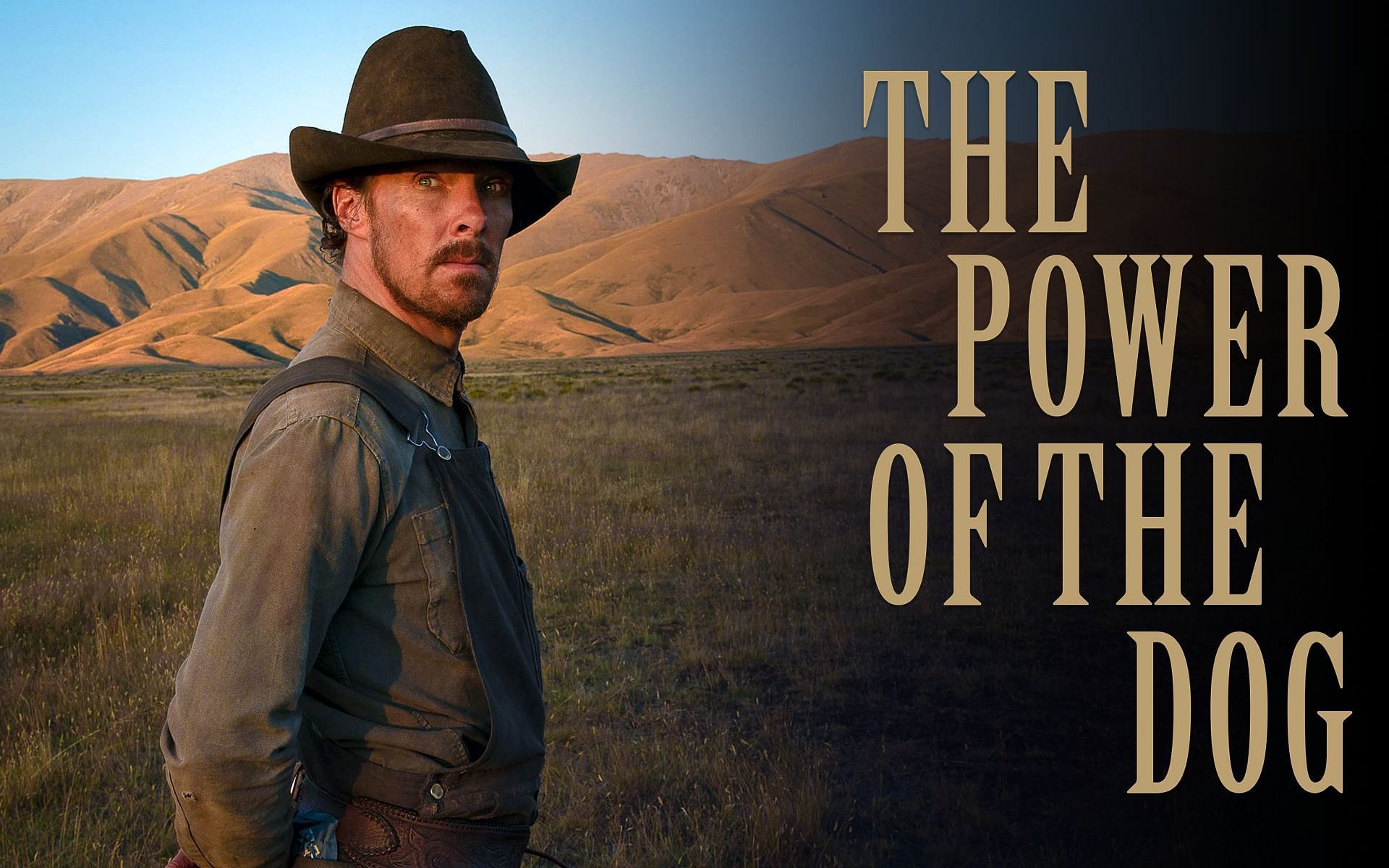 "The Power Of The Dog" is What Award Season Films are Made Of