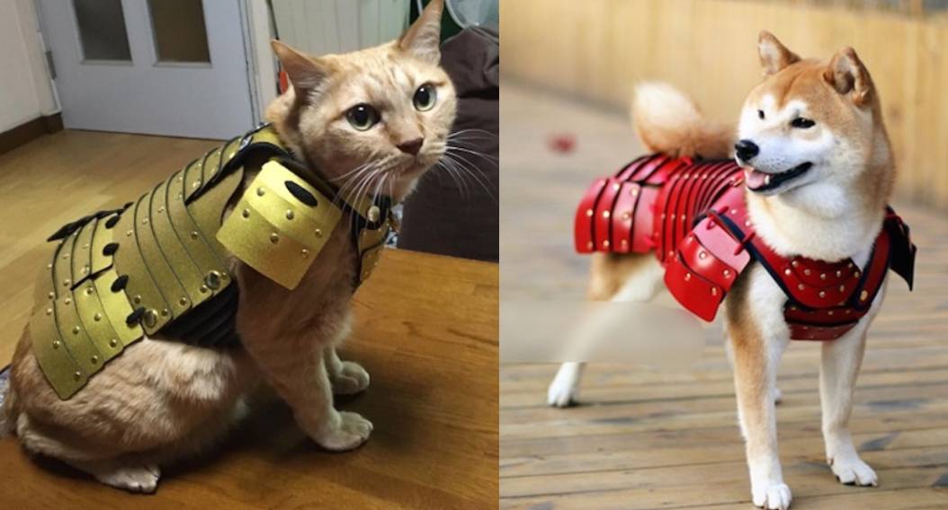 Get Your Pet Ready for Battle with Samurai Armor!