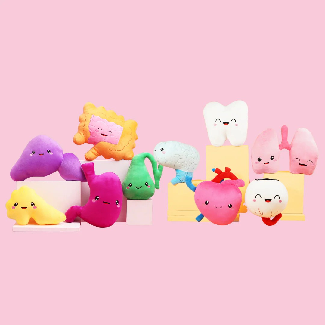 Plush Organs & Anatomy Pillows, Human Organ Toys Nerdbugs Plush Organs