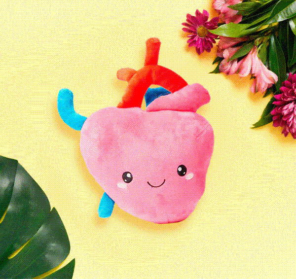 Heart Plush Organ Toys Heart Plushie Organ Toys Heart Plush Toys