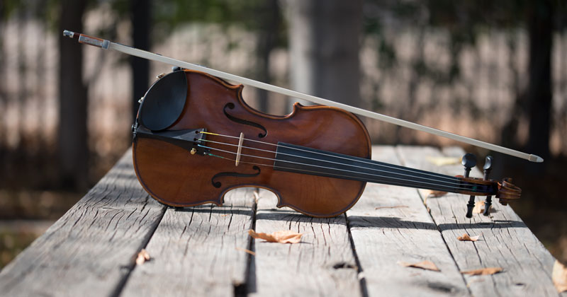 Beat Quarantine Boredom Learning One of These Instruments at Home