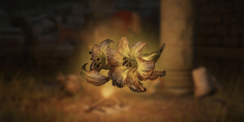 Where to Find Erdleaf Flower Elden Ring Nerd Lodge