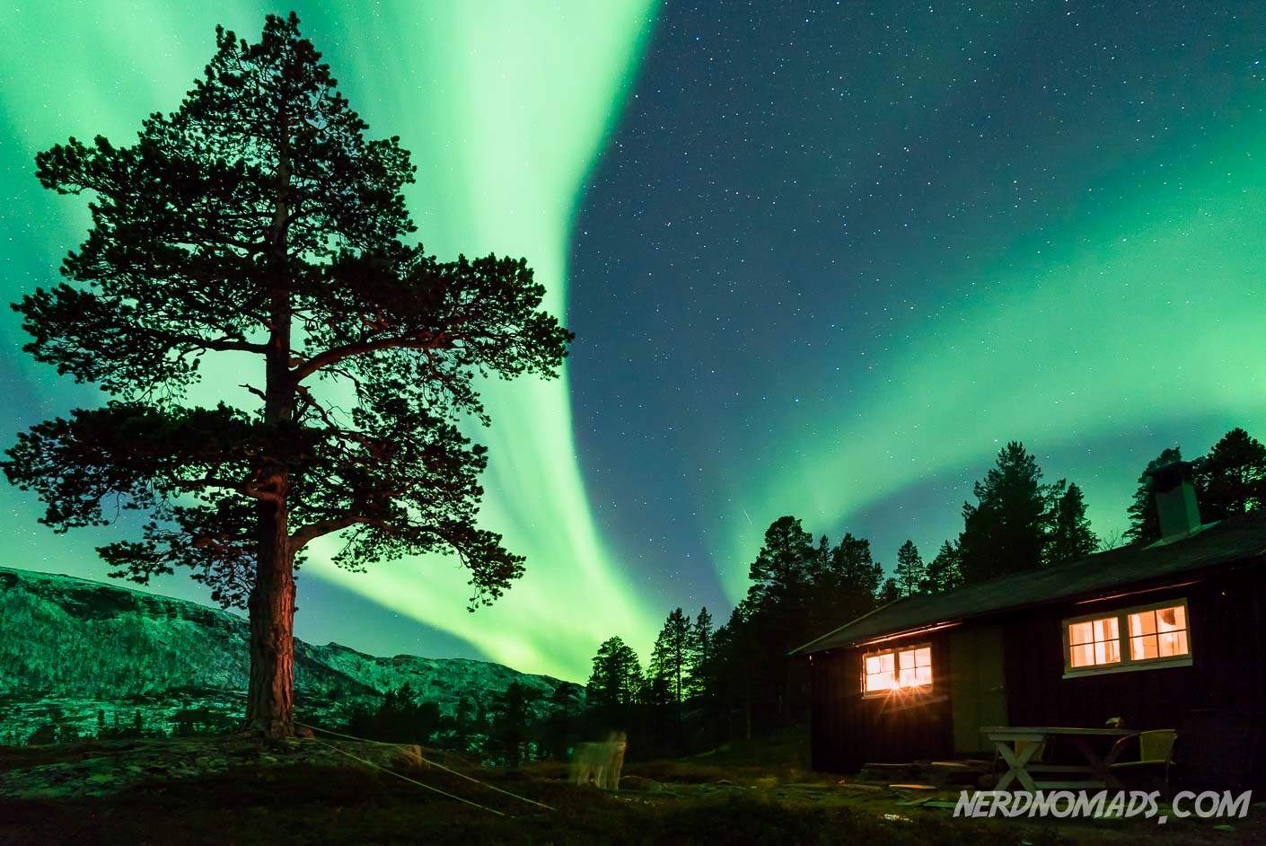 Chasing the Northern Lights in Tromso, Norway Nerd Nomads
