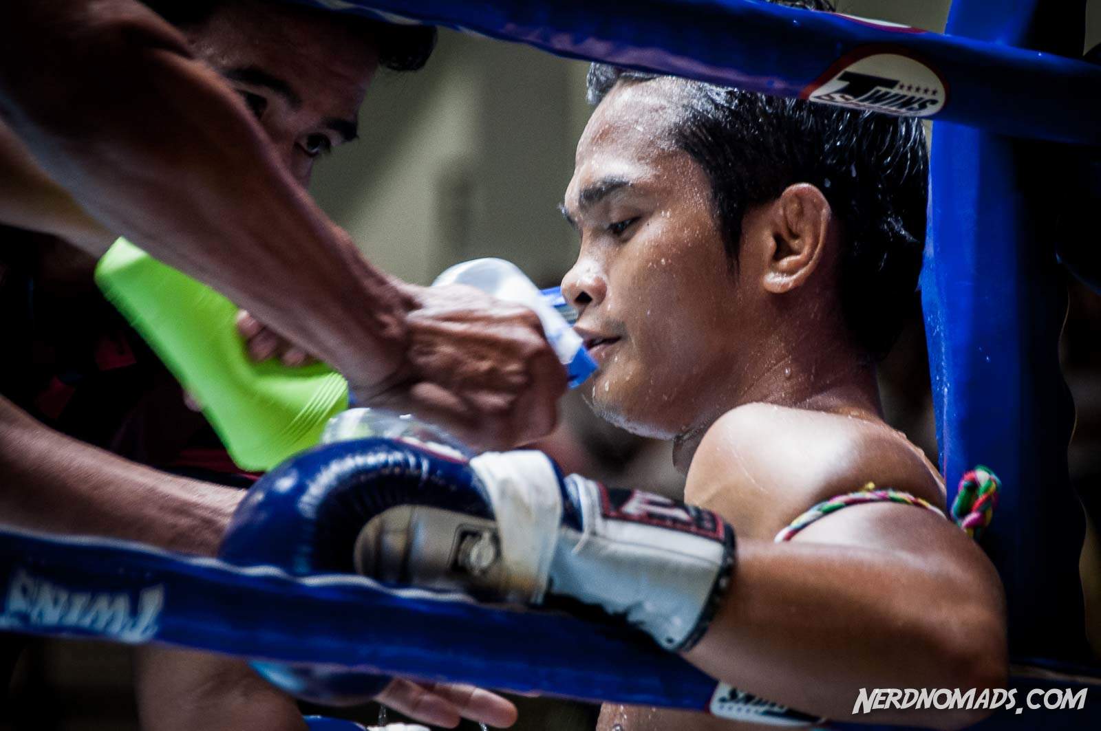 Where & How To Experience Thai Boxing in Bangkok Nerd Nomads
