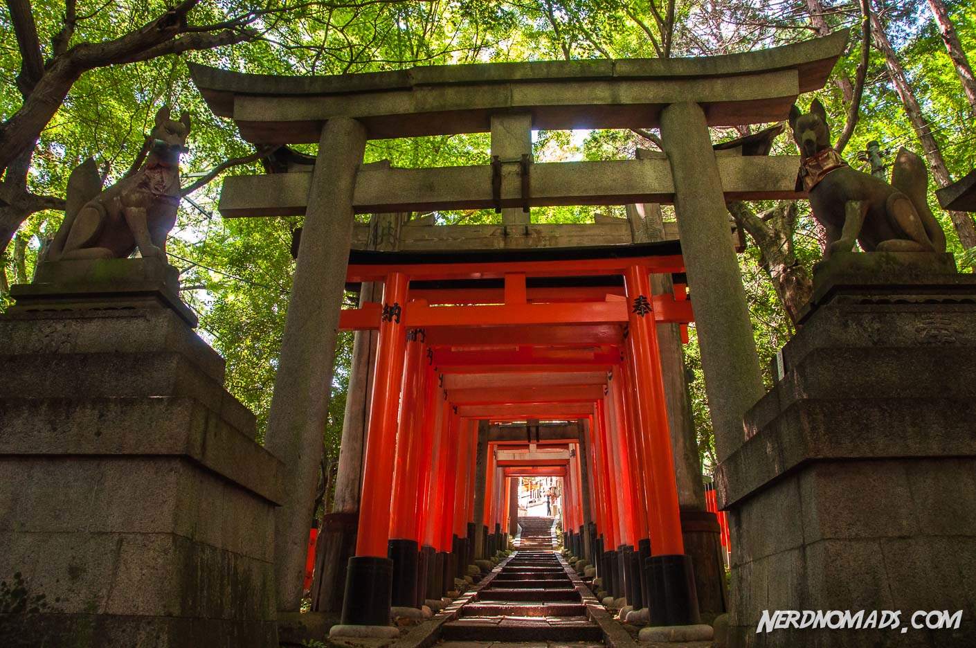 Journey Through a Thousand Gates Fushimi Inari Shrine, Kyoto Japan