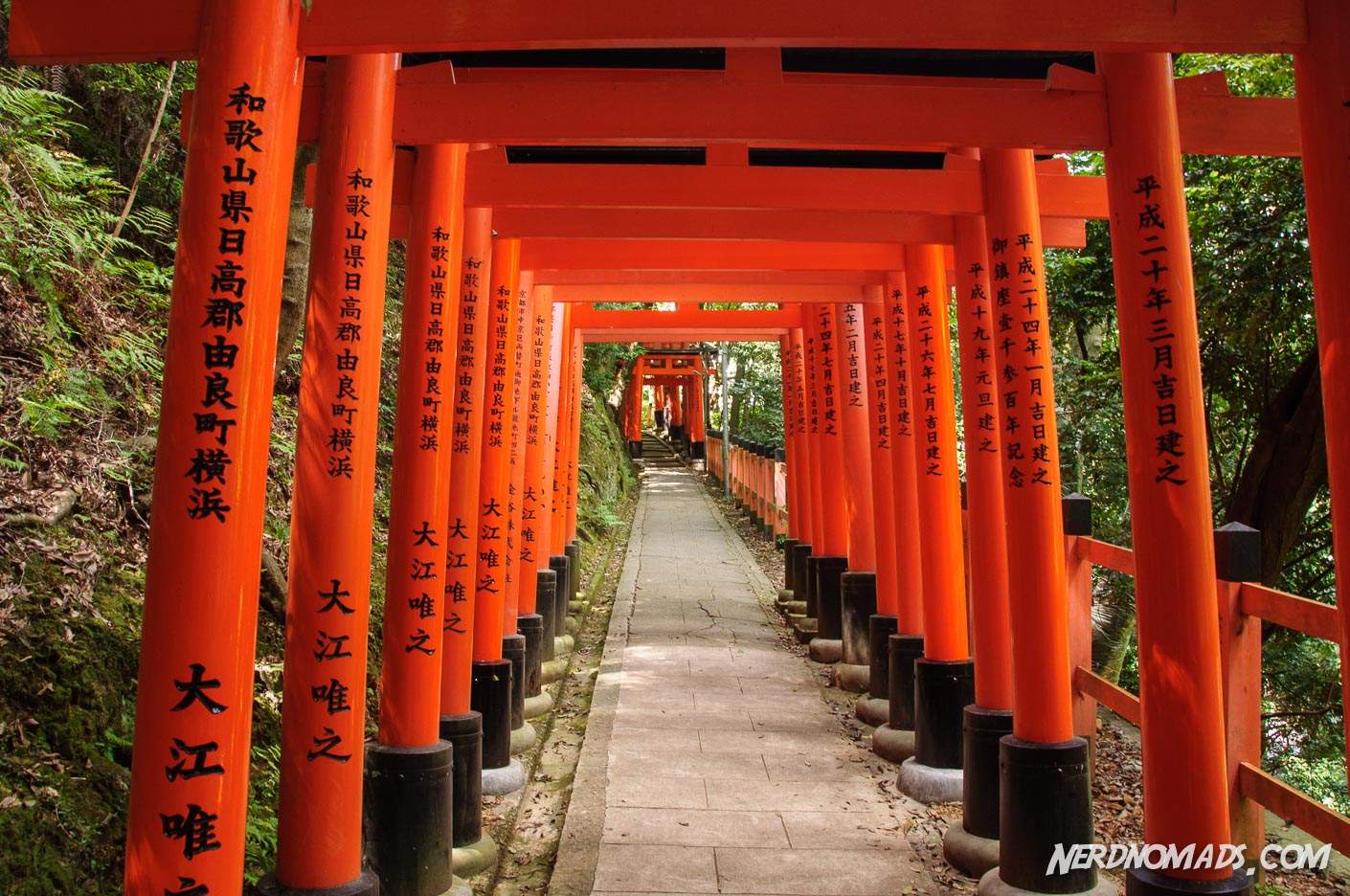 Journey Through a Thousand Gates Fushimi Inari Shrine, Kyoto Japan