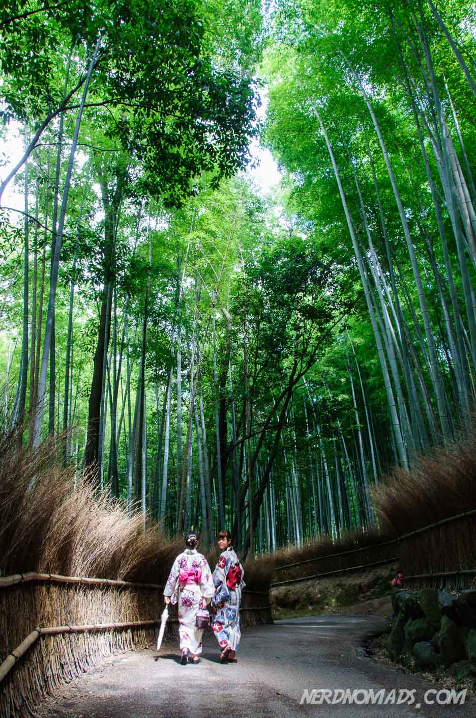 Bamboo Grove Kyoto Nerd Nomads