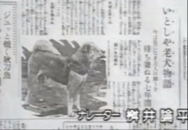 Hachiko in the Japanese newspaper