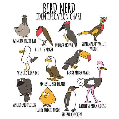 Bird Nerd's Funny Identification Chart