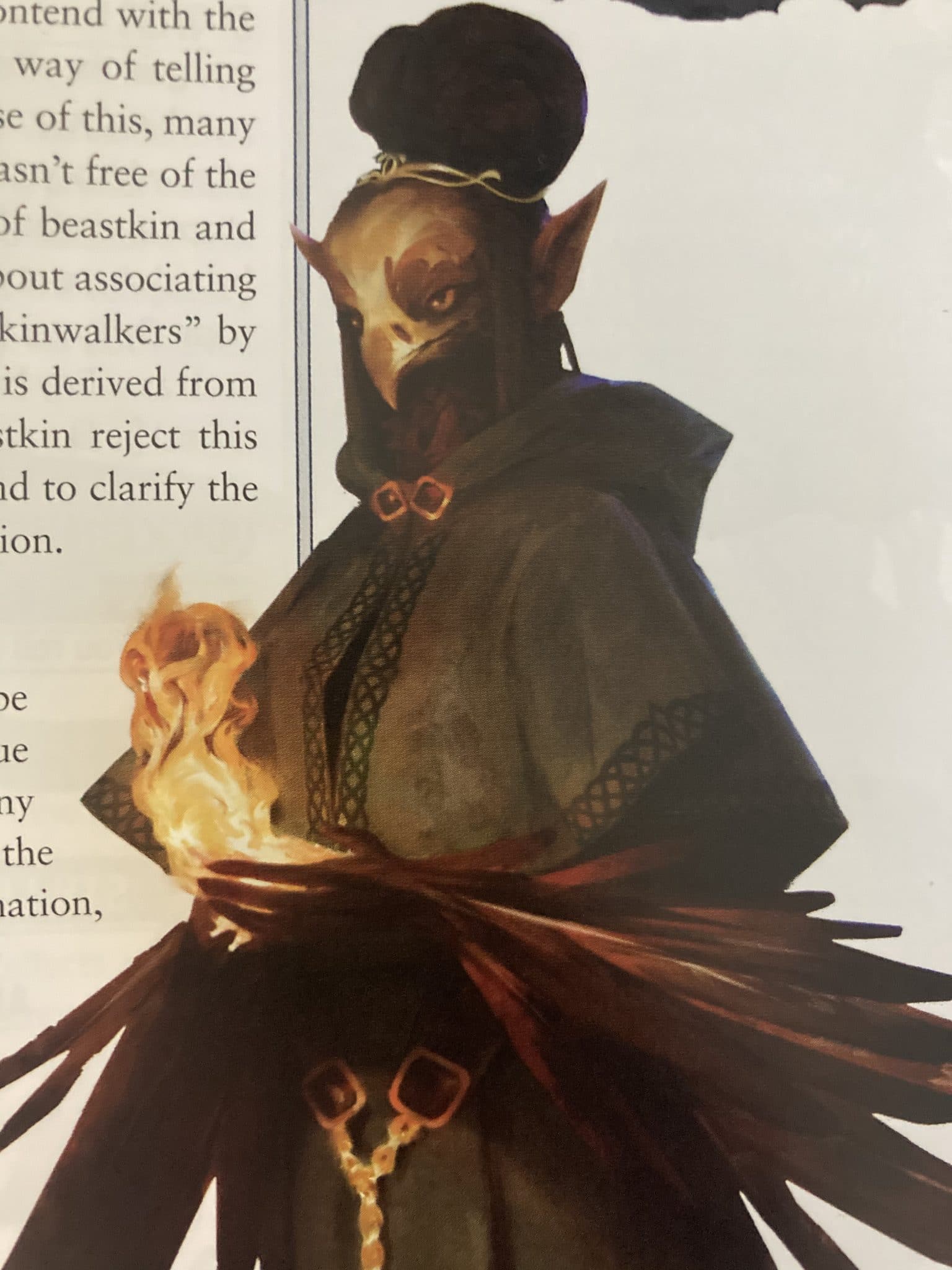 Pathfinder Tengu Guide Dark Heaven Legends Tengu Rogue 3698 25mm