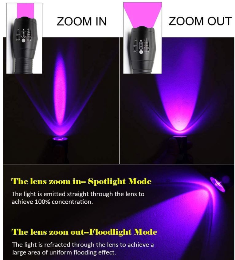Guide to the Best UV Blacklight Flashlight for Seeing Stains in 2023