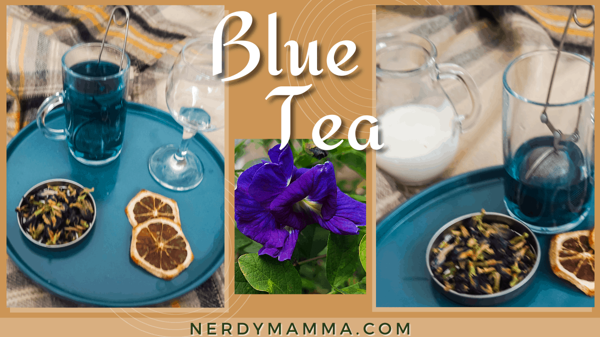Blue Tea The Simplest Recipe and What's in it? Nerdy Mamma