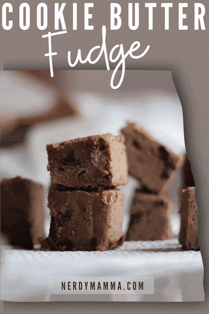 Cookie Butter Fudge Nerdy Mamma