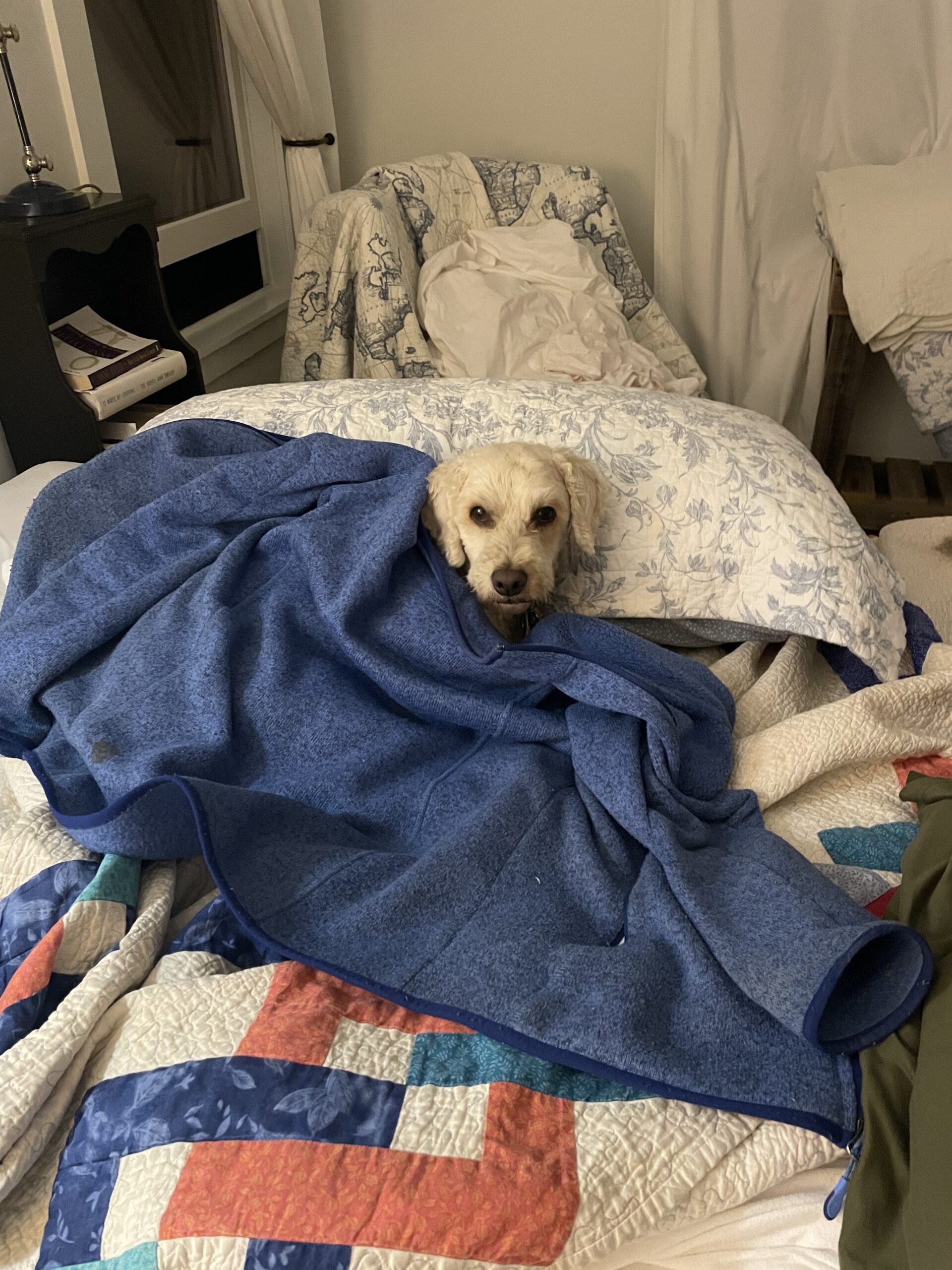 Fall Equinox, COVID, and My Broken Suitcase Nerissa Nields