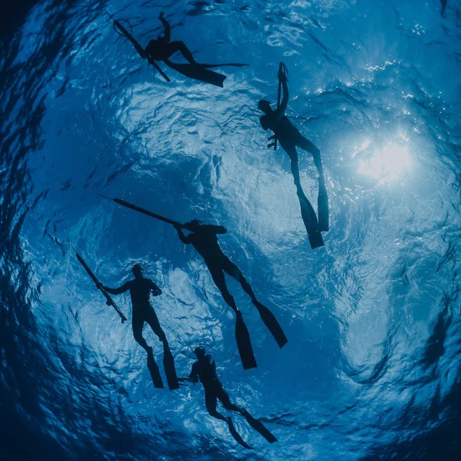 Spearfishing Expeditions Neritic Diving