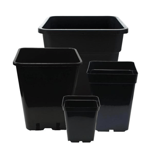 Square Plastic Pots NeroCulture