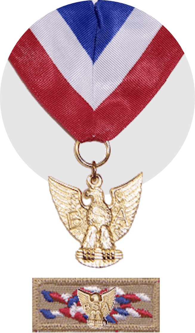 Distinguished Eagle Scout Award The National Eagle Scout Association
