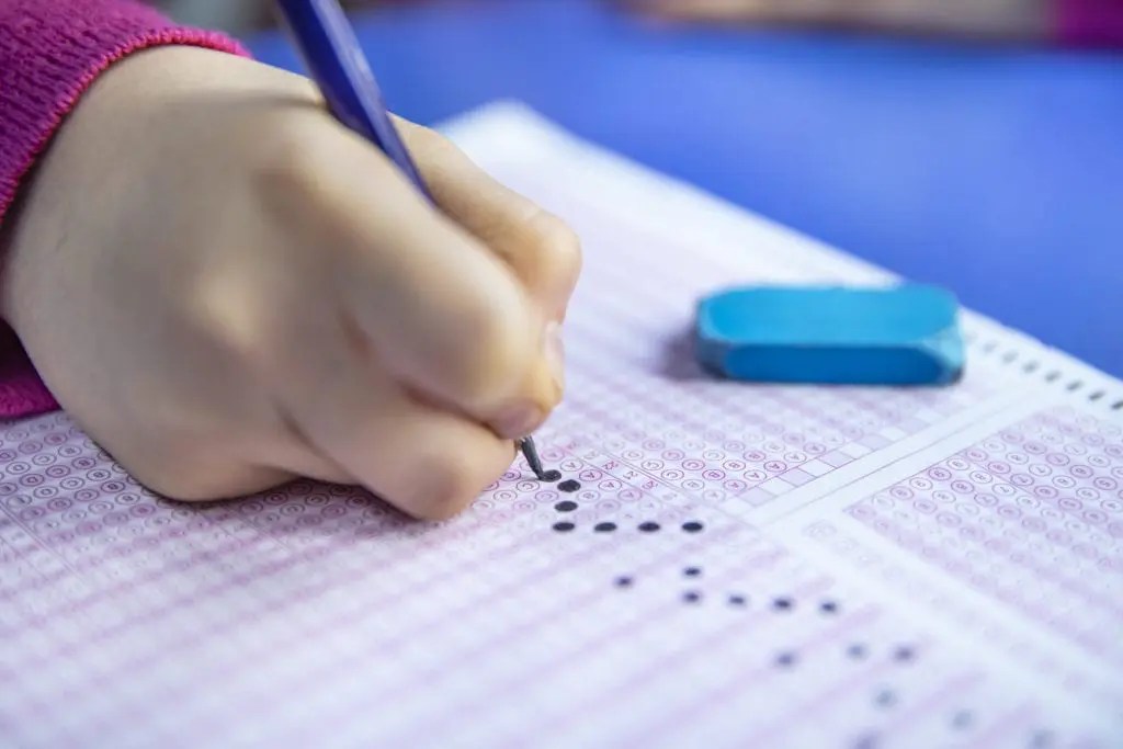 for Computerbased Testing NESCA