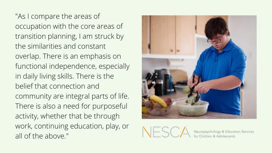 Occupational Therapists and Transition Assessment, A Natural Fit! NESCA