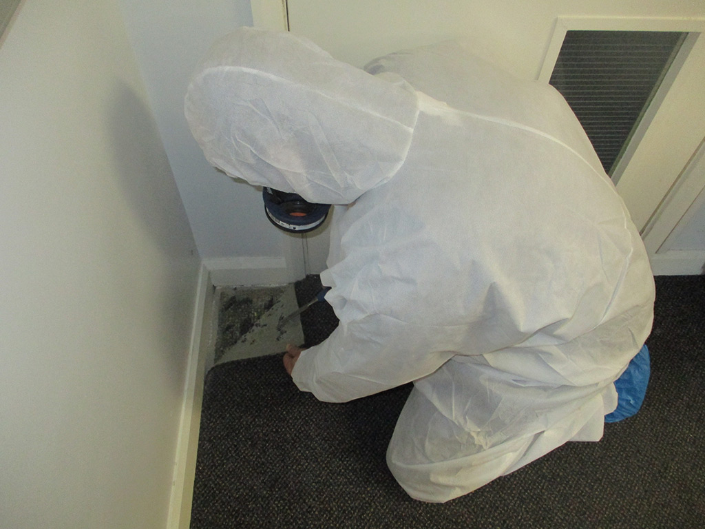 Management Surveys NES Consultants