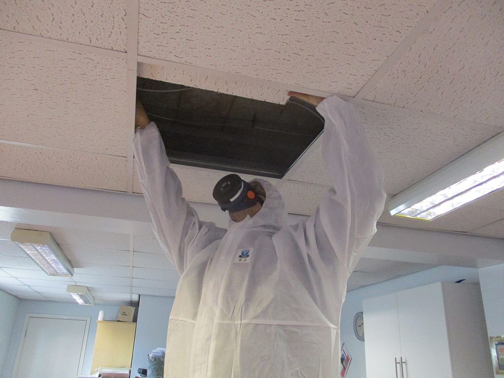 Management Surveys NES Consultants