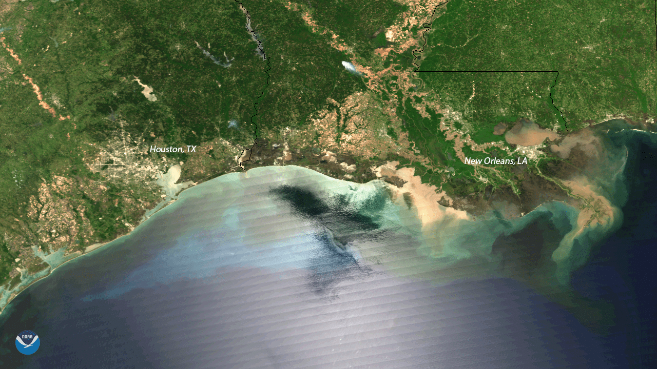 Sediment Flows along the Mississippi River Delta NESDIS