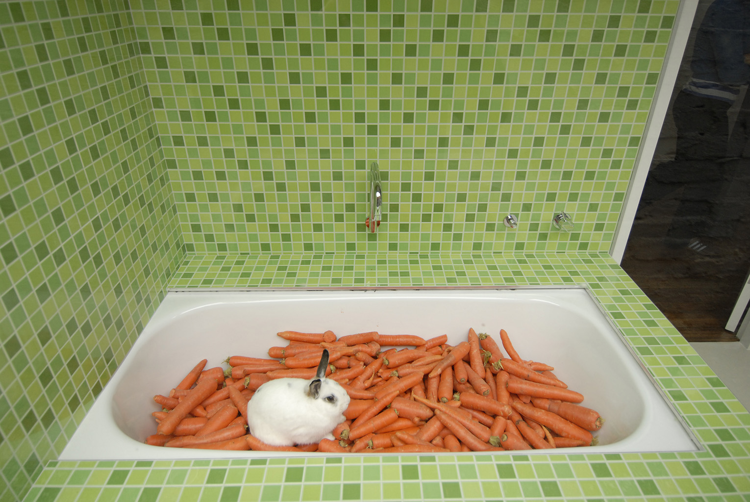 Animal House Residential Architect Melbourne Nest Architects