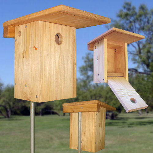 Nestboxes for Bluebirds