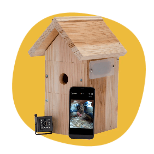 WiFi Bird House Camera Systems
