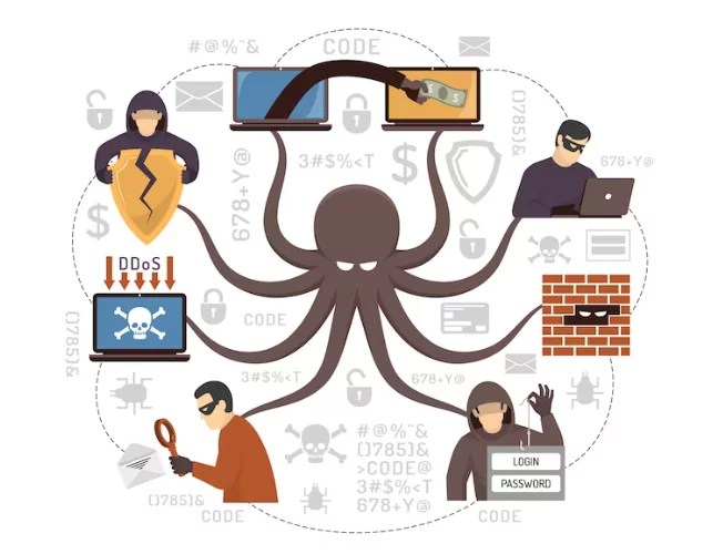 How does a website crash happen and how to avoid it?