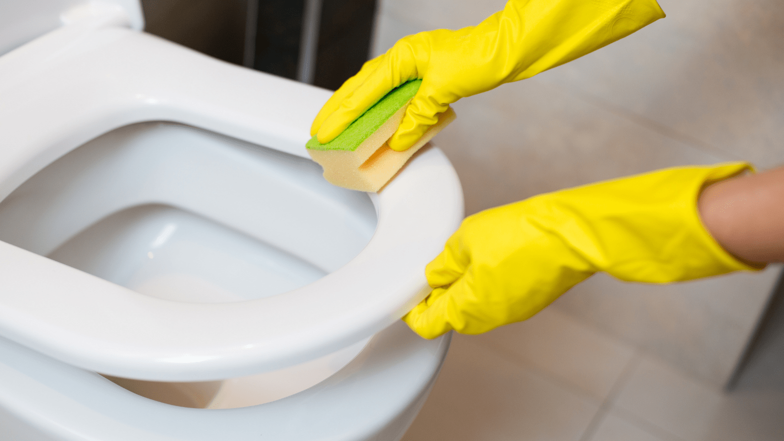 Best NonToxic Toilet Cleaners (Tested & Approved in 2023!)