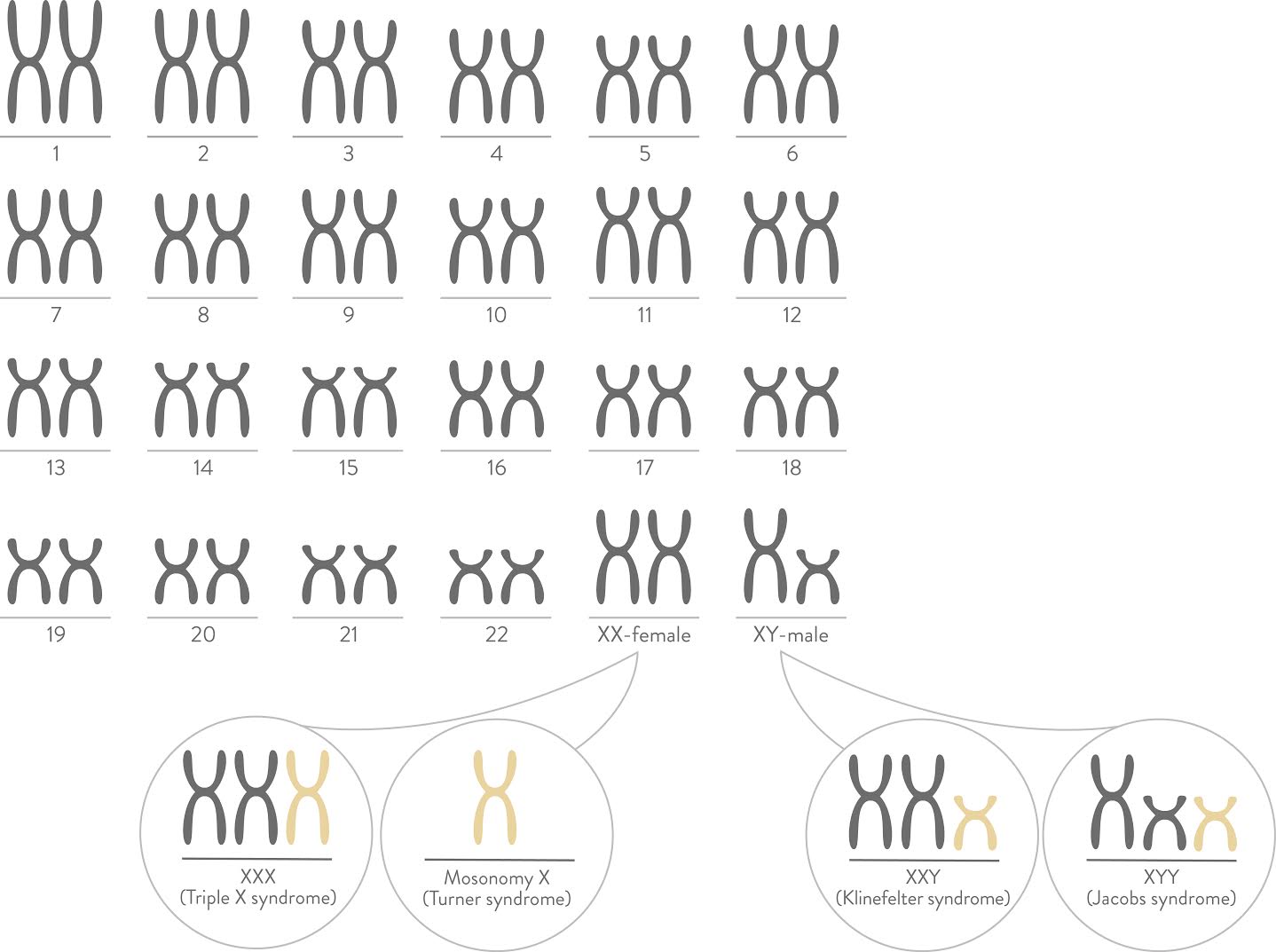 Chromosome Blood Test Pregnancy Gender Accuracy pregnancy test