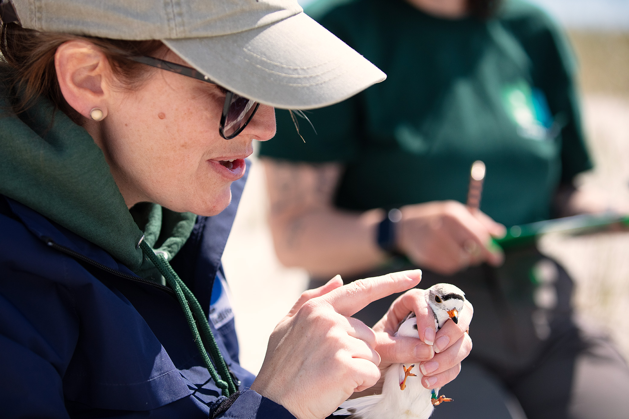 Rulers Make Bad Lovers Readings From The Northside