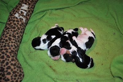 Här gosar vi i hop oss