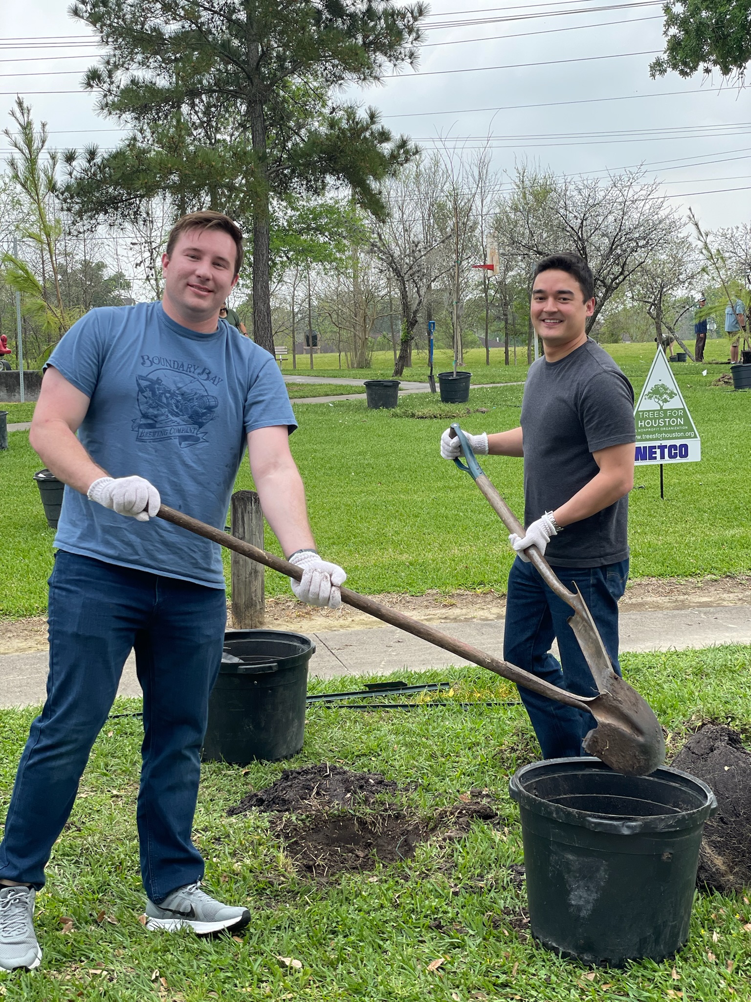 Trees for Houston NETCO