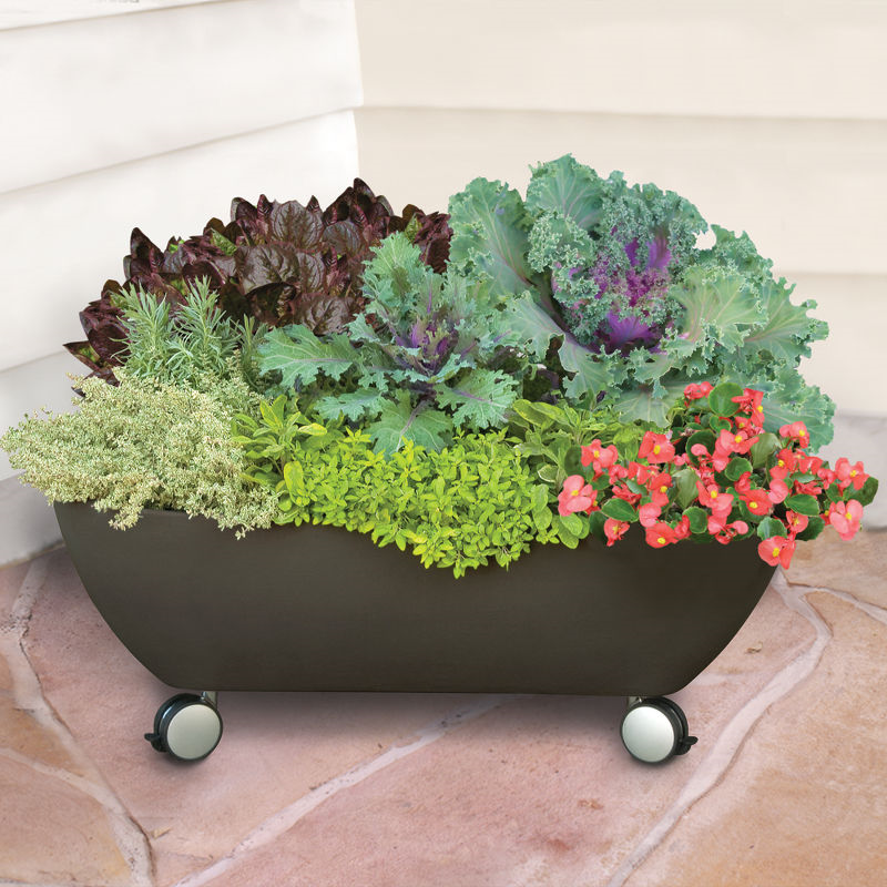 Mobile Patio Garden Is A Garden Bed With Wheels