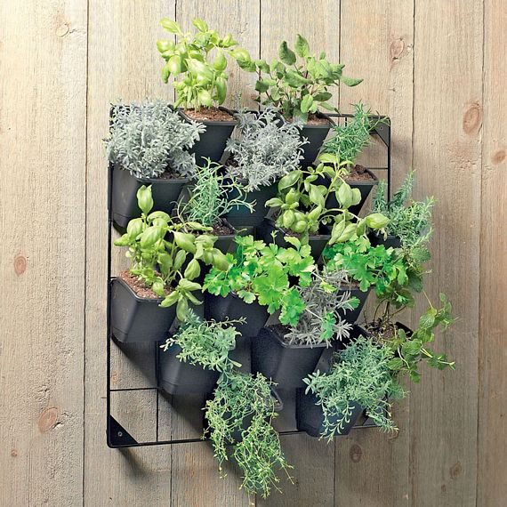 Vertical Wall Garden Mounts Your Potted Plants For Easy Access