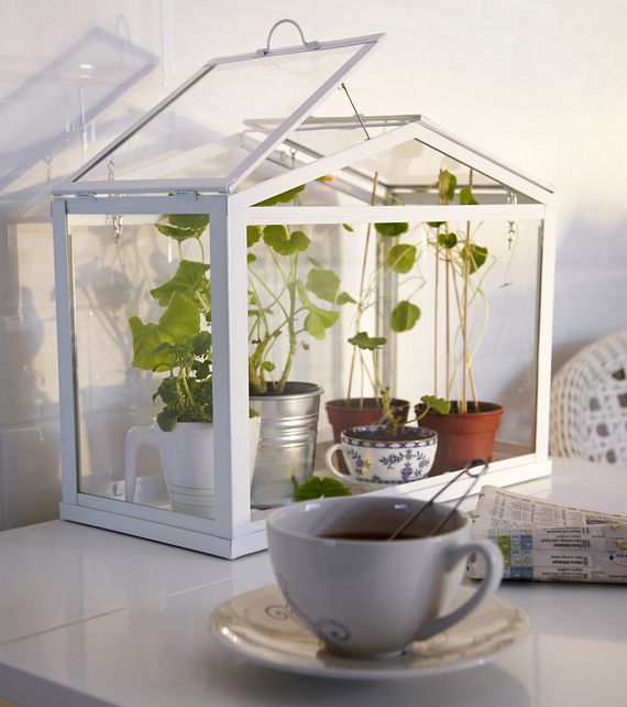 IKEA Socker Is A MiniGreenhouse For Your Home