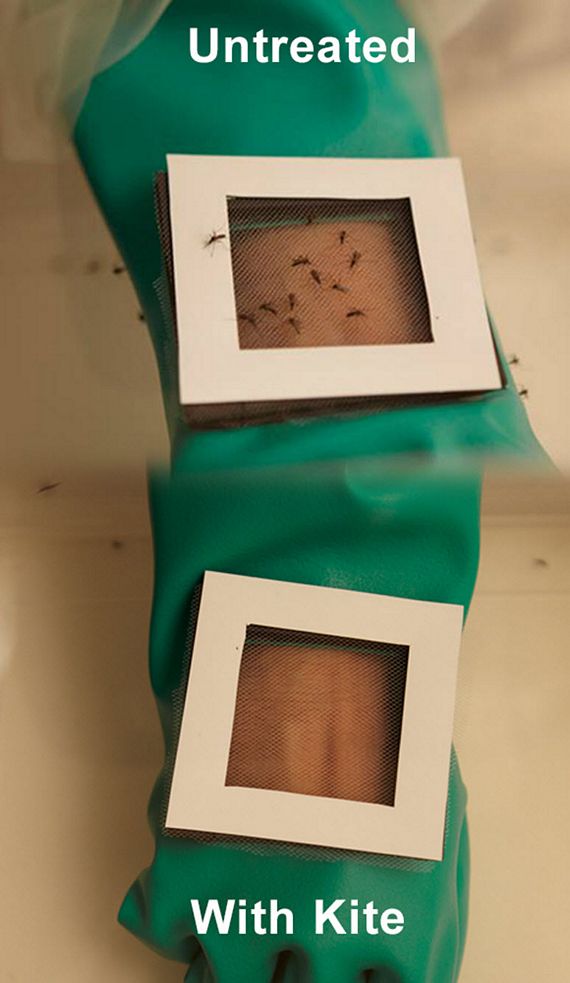 Kite Patch Makes You Invisible To Mosquitoes