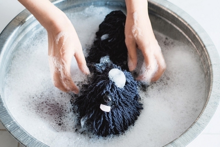 Dog Mop