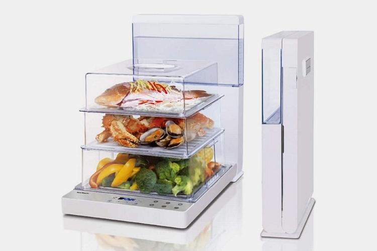 Joydeem Foldable Steamer