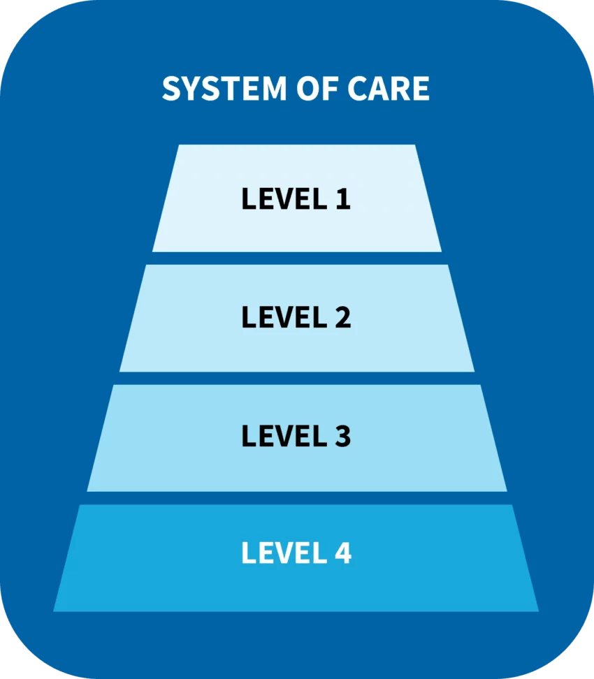 NSPS System of Care NETEC