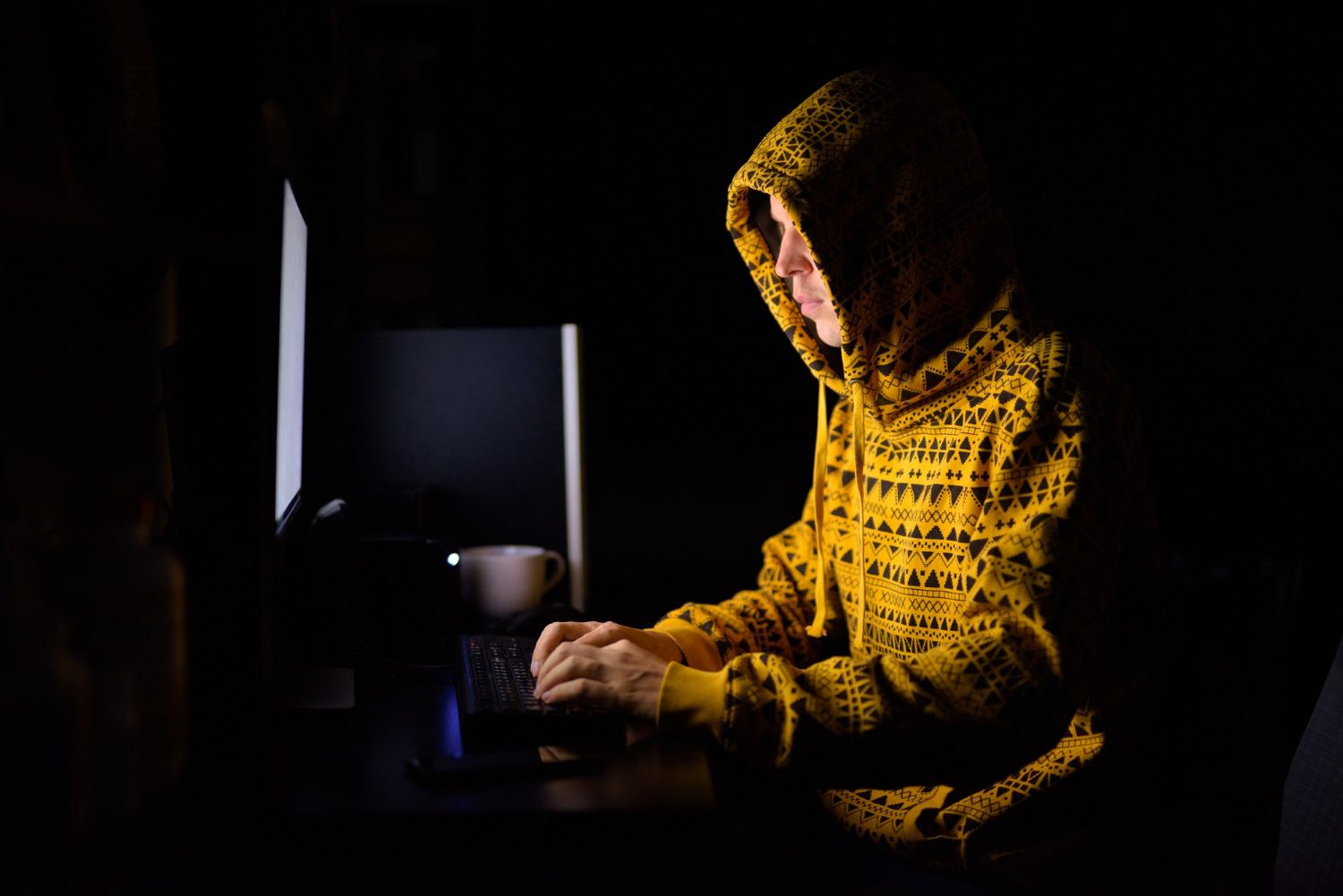 How to Protect Your Computer from Hackers NetFliss