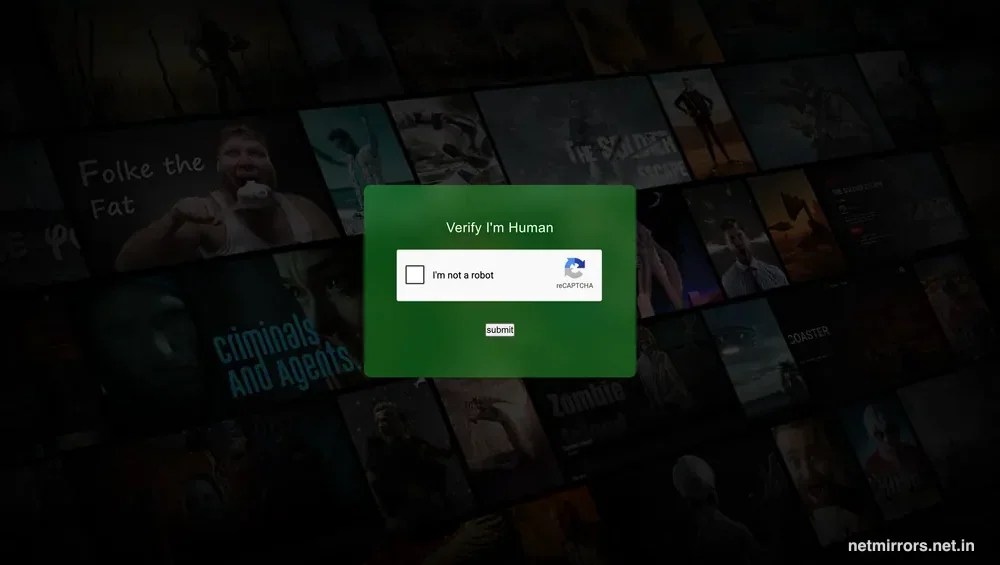 NetMirror Web - Watch Online Movies and Series (PC, iPhone & Web)