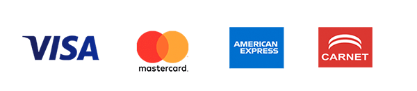 Terminal Mini Lector De Tarjetas Visa Mastercard American Express