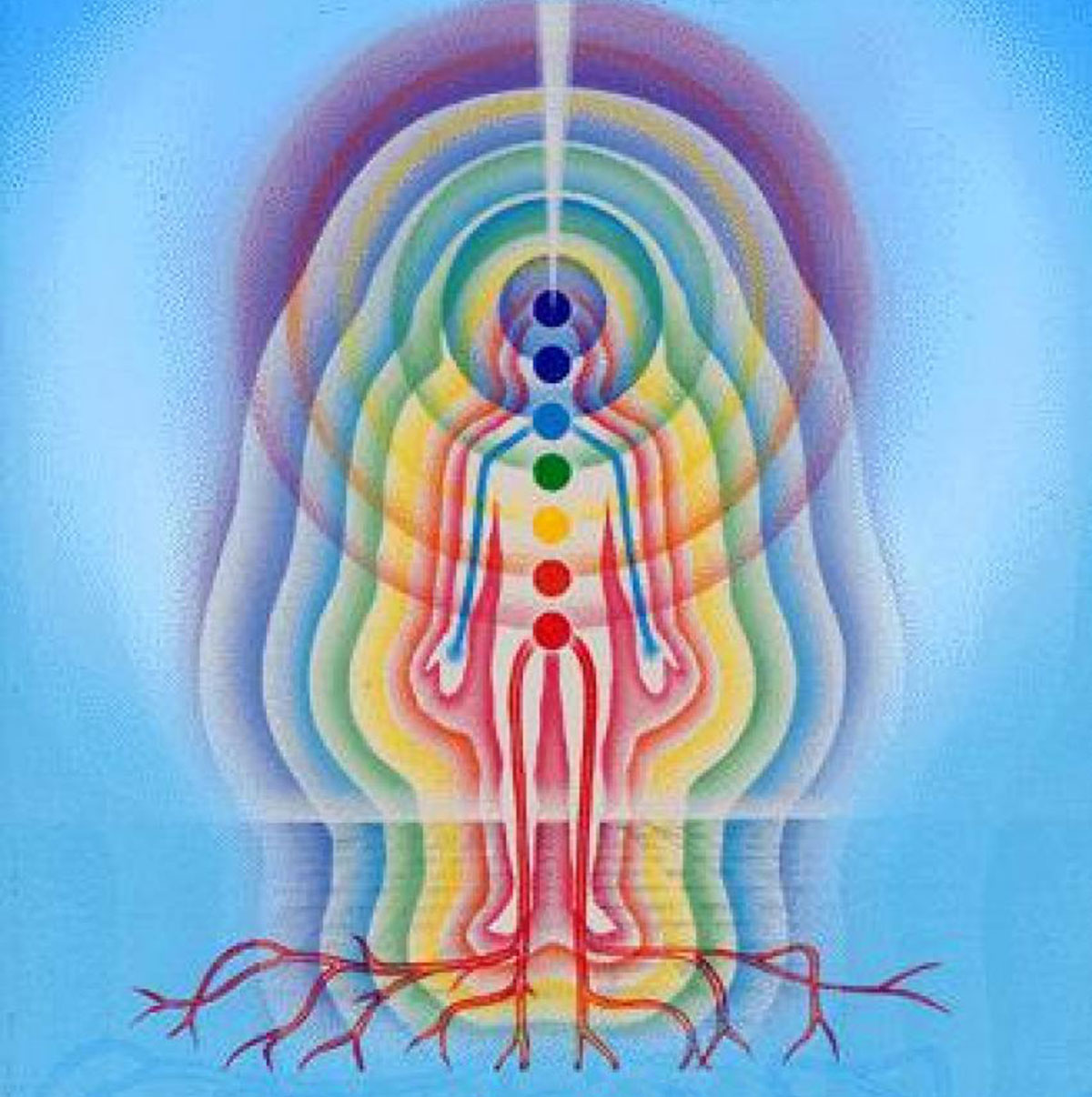 The Body Mirror System NetSpirit