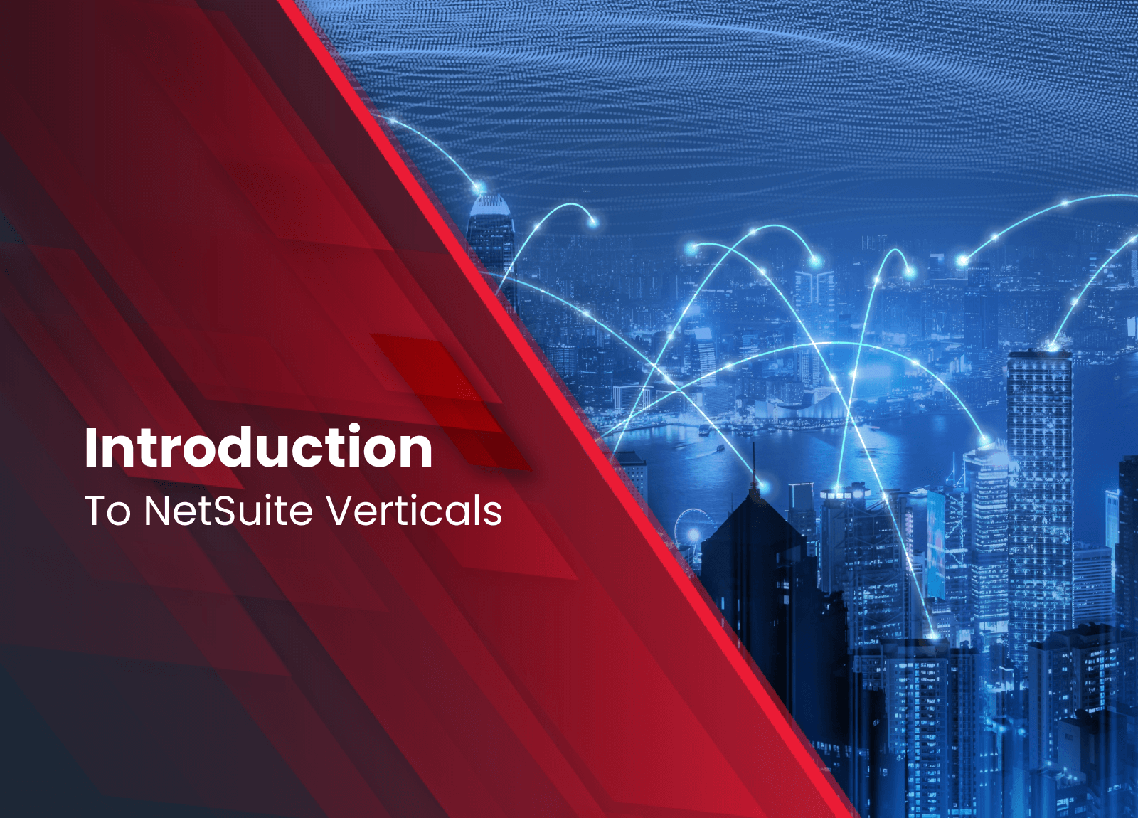 Introduction to NetSuite Verticals Understanding IndustrySpecific